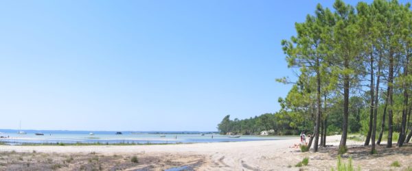 Sanguinet,Lake,With,Big,Pines,Along,The,Beach,In,The Sanguinet,Lake,With,Big,Pines,Along,The,Beach,In,The